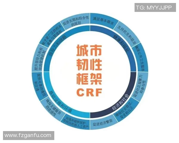 全球经济增长放缓各国应对策略调整中国经济展现韧性成全球关键驱动力