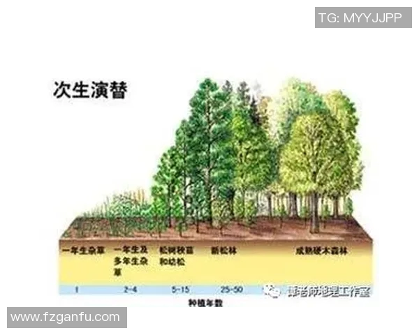 重磅专题：探索LNG领域的防守创新与未来发展趋势